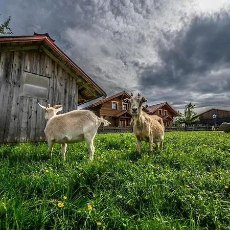 Wenzlhof Farm stay Zwiesel