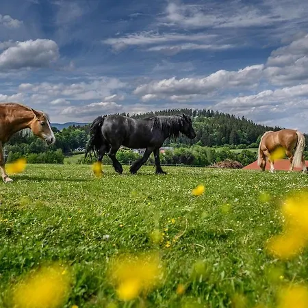 Wenzlhof Vakantieboerderij