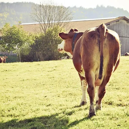 Wenzlhof Alojamento de Turismo Rural Zwiesel