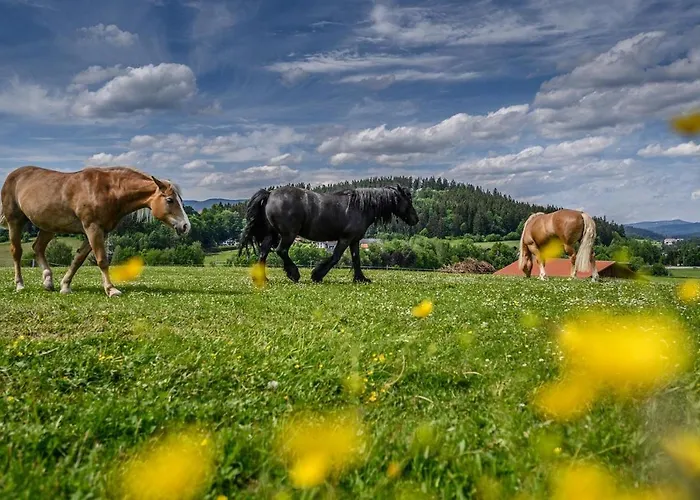 Wenzlhof Vakantieboerderij