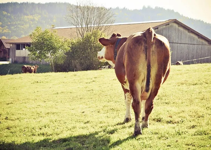 Wenzlhof Vakantieboerderij Zwiesel